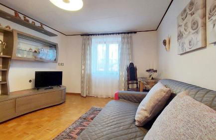 Le Rondini di Casa Bernardi, for Pet Lovers con Area Cani privata - Foto 21