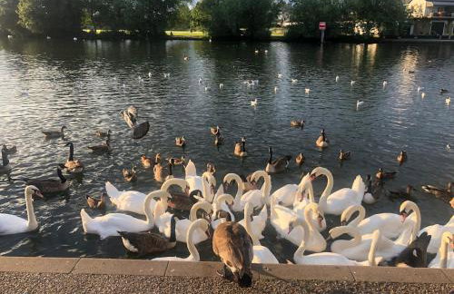 Floating tranquility - Foto 18