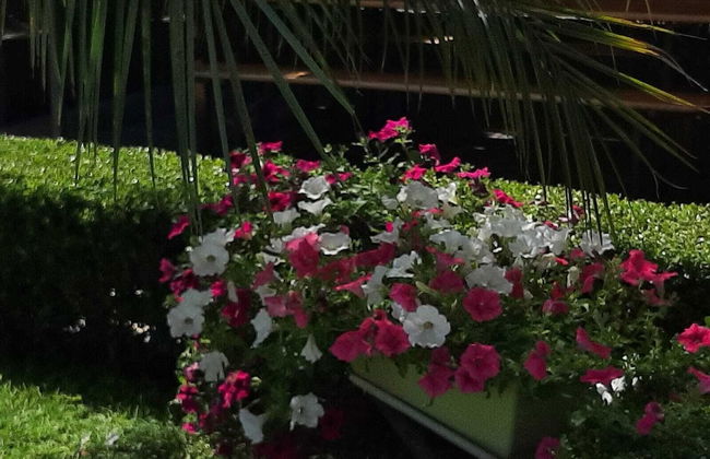 Casa Vacanze Etna Cocus - Photo 21