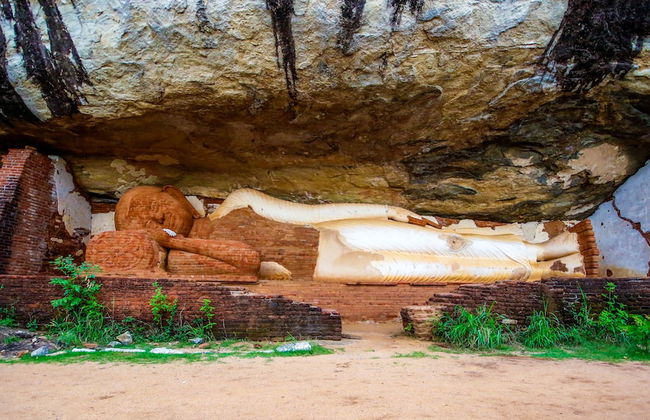 Thick forest sigiriya - Photo 28