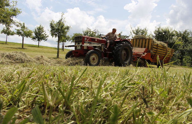 Ferienhof Stärk - Foto 18