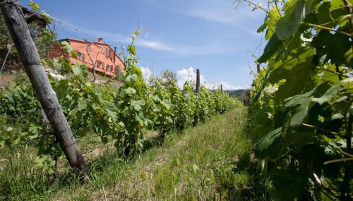 Agriturismo La Burlanda - Foto 3, Garden, Garden view
