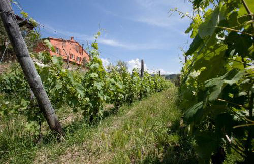 Agriturismo La Burlanda - Foto 3