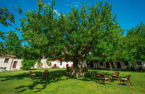 Masseria Rossella - Foto 15