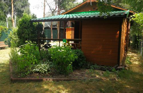 domki domek na jeziorem Wilczyńskim Budzisławskim , las, osobno ogrodzony 2-6 osób- klimatyzacja, ogrzewanie, 62-550 Zygmuntowo gm Wilczyn - Foto 23