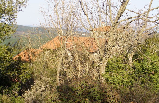 Ariadne Eco Retreat - Photo 22