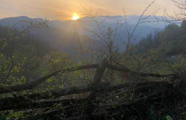 Apartamentos Rurales San Feliz - Foto 7