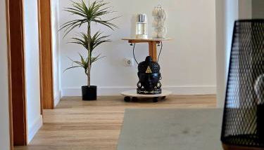 Paim Lodge - Photo 5