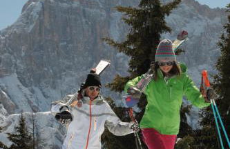 Petit Arnica - Foto 13