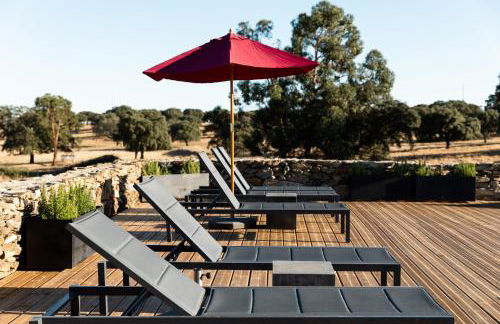 Herdade dos Abegões - Foto 29