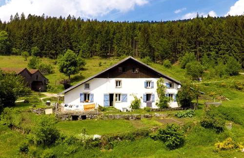 Charmant studio dans ferme avec terrasse et parking - montagnes des Vosges - FR-1-589-164 - Foto 9