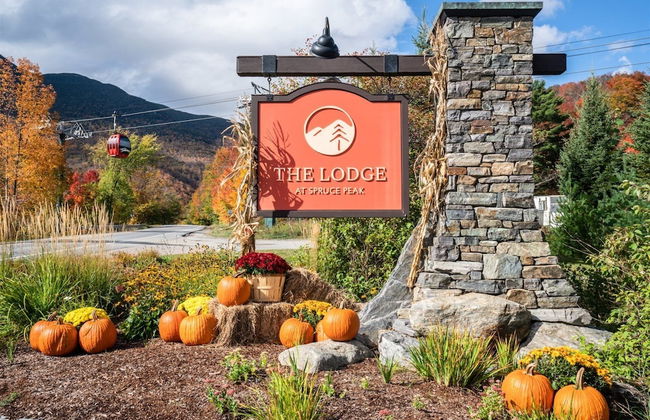 2 BR Lodge at Spruce Peak - Photo 28