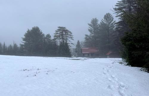 New! Designer 3BR Cabin Walk to Pond Mtn Views - Foto 55