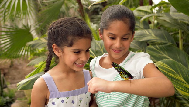 Niagara Falls Wonder Pass – Includes WEGO 2 days - Photo 4