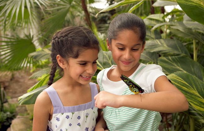 Niagara Falls Wonder Pass – Includes WEGO 2 days - Photo 4