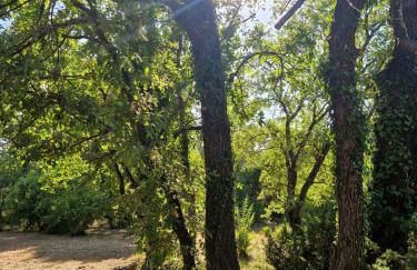 logement entier en pleine nature avec jardin terrasse tennis pétanque piscine - Foto 17