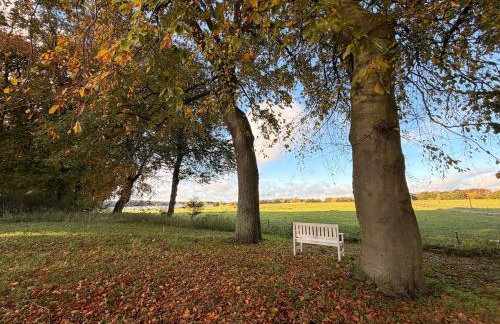 Naturoase inmitten von Wald und Wasser - Photo 10