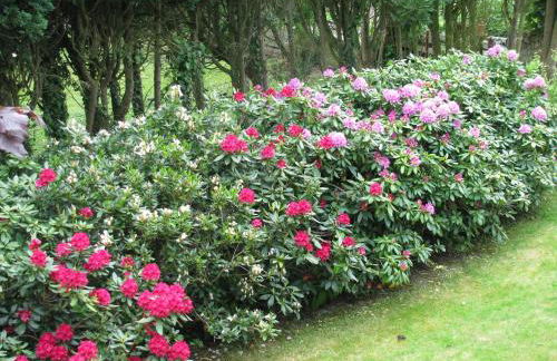 Ferienwohnung Schlossblick - 4 Sterne Sauna Pool Whirlpool exklusiv - Foto 45