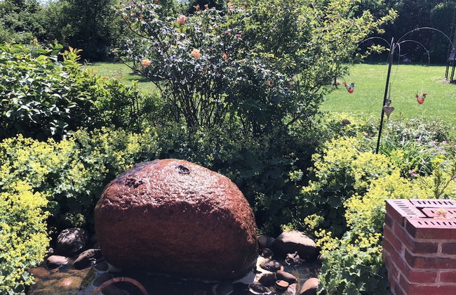 Pension Ferienwohnung Hillrichshof - Foto 32