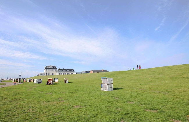 Strandflieder - Foto 15