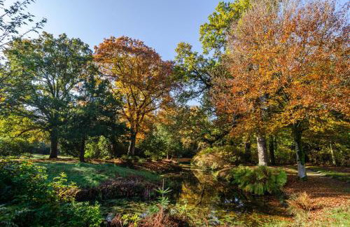 Schlossblick - Foto 26