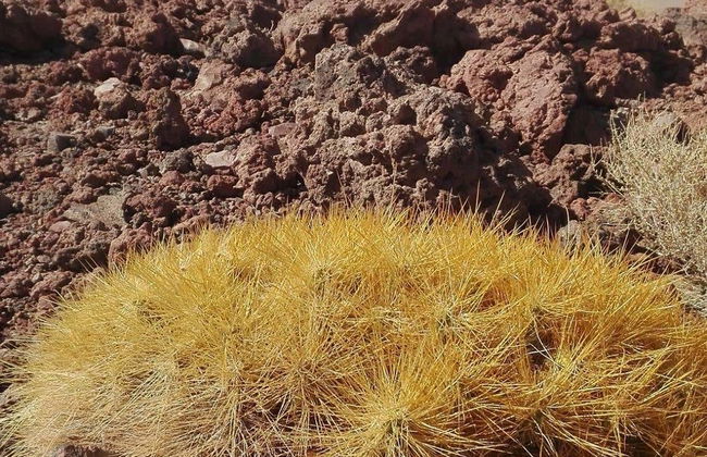 Trekking privato al vulcano Poruña - Foto 3