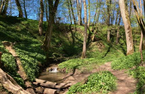 Seebrise Ferienwohnung, Auszeit in ruhiger Lage, Bodensee Nähe, Privatparkplatz, Wlan, Smart TV - Foto 15