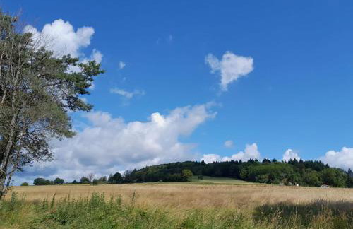 Fewo Waldtherme Relaxen, wandern, Radfahren - Foto 36