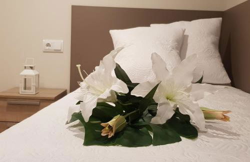 Cardona Fira - Photo 41