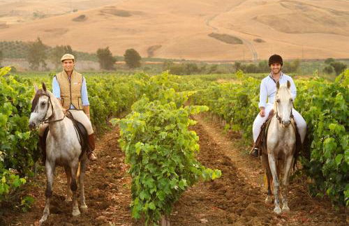 Agriturismo Villa Dafne - Foto 80