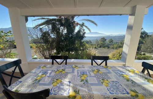 LAS PALMERAS - Foto 20