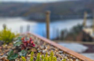 Viña Candaz By Oktheway - Foto 51