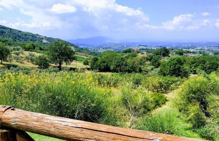 Agriturismo Caprareccia Bianca - Foto 9