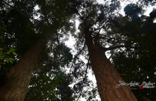 Cosy Chalet with Terrace in Hermigua - Ideal for Couples - Foto 54