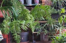 Casa Rural EL PUENTE - Foto 68