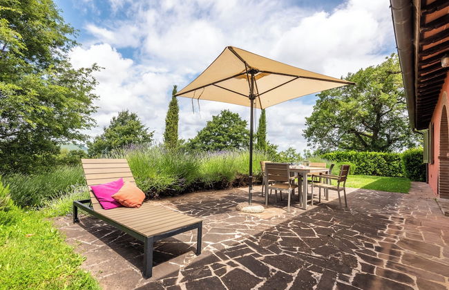 Superior Apartment With Terrace - Photo 43