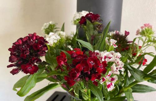 The Apple Press - Sweethay - Foto 44