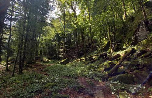 Maison proche du centre de Colmar - Chez Michel - Foto 24