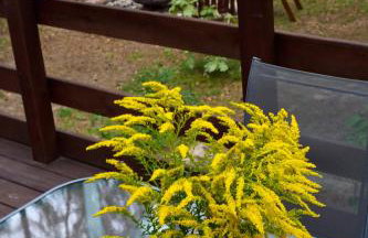 Leśna Chatka - Foto 29