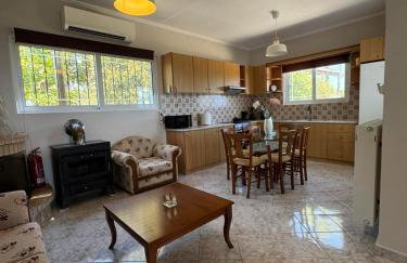 Casa Psarou 1 - Foto 19