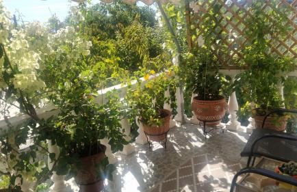 Amalia's Maisonette - Foto 19