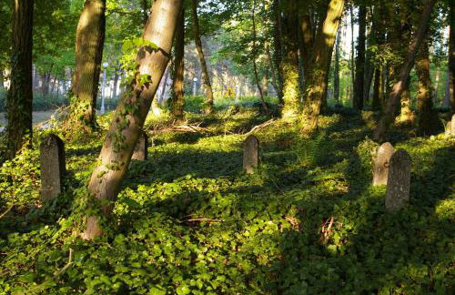 Dom Gościnny Rzeczna 4 - Foto 70