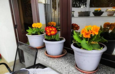 Apartman Dino with heated pool - Foto 17