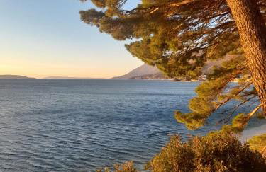 Rural house Janjić - Foto 36