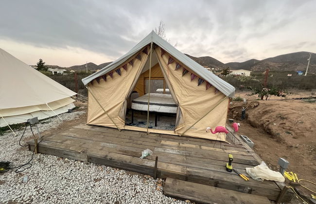 Ecovino Valle de Guadalupe - Foto 14