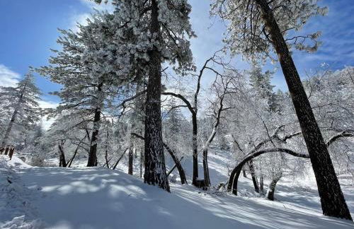 Secluded Mountain Retreat - Foto 15