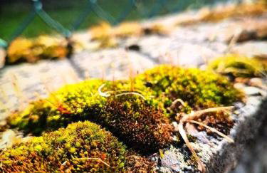 Narniandum Est Locazione Turistica - Foto 70