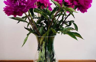 The Hideout - Foto 25