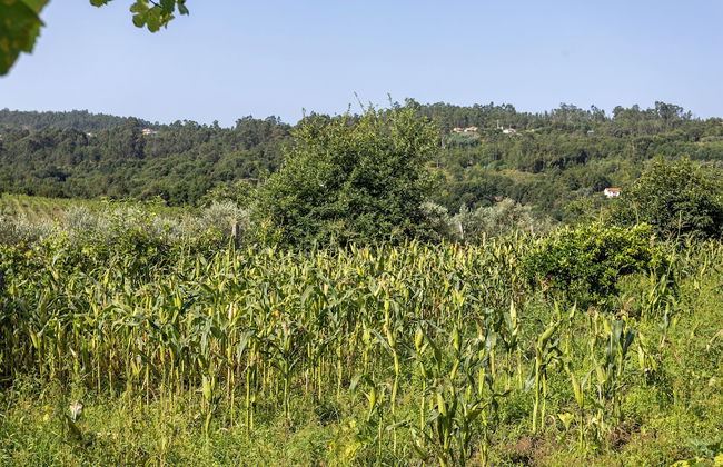 Quinta da Comenda - Casa da Bica - Foto 27
