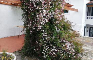 A Quinta da Colina Adega - Foto 24